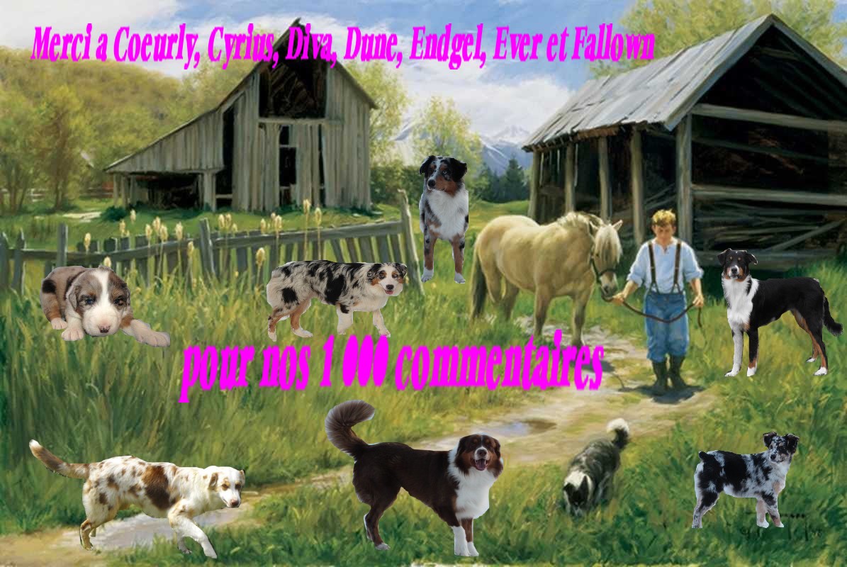 Image h�berg�e par Casimages.com : votre h�bergeur d images simple et gratuit