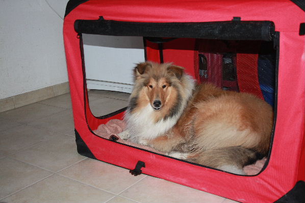 Image h�berg�e par Casimages.com : votre h�bergeur d images simple et gratuit