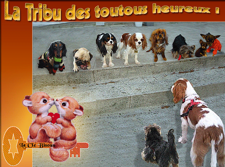 Image h�berg�e par Casimages.com : votre h�bergeur d images simple et gratuit