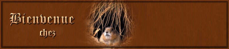 Image hébergée par Casimages.com : votre hébergeur d images simple et gratuit