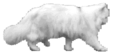 hebergeur image