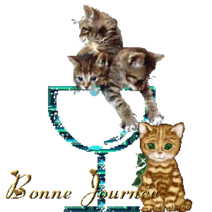 Image hébergée par Casimages.com : votre hébergeur d images simple et gratuit