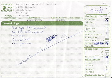 Image h�berg�e par Casimages.com : votre h�bergeur d images simple et gratuit