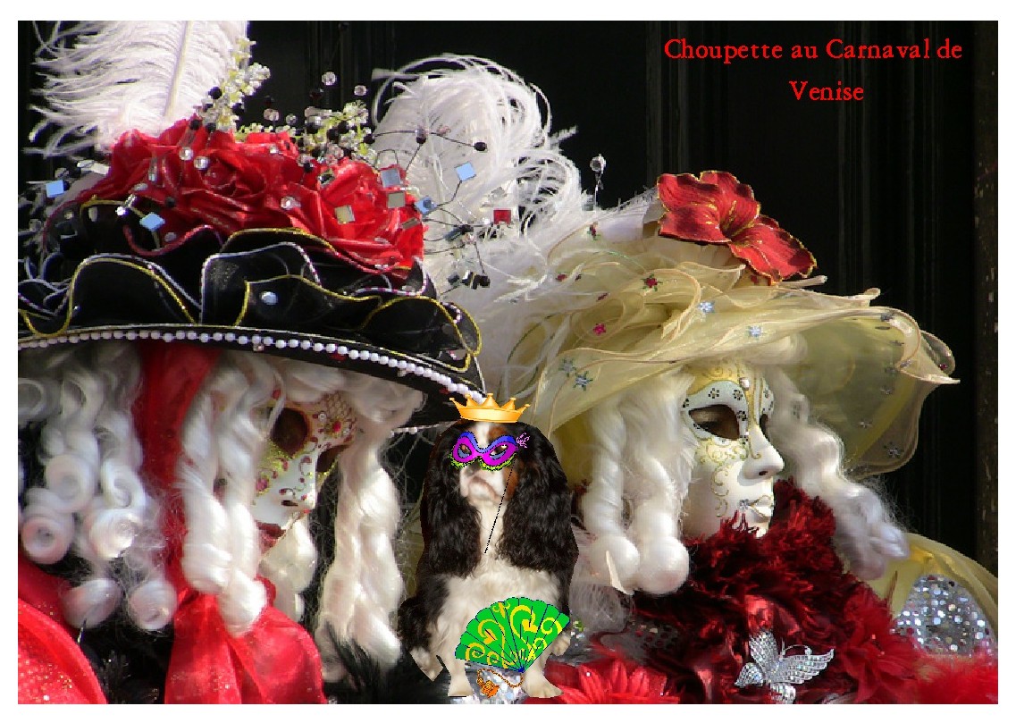 Image h�berg�e par Casimages.com : votre h�bergeur d images simple et gratuit