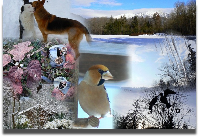 Image h�berg�e par Casimages.com : votre h�bergeur d images simple et gratuit