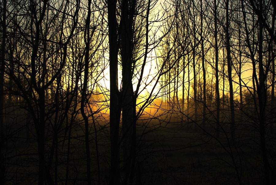 http://nsm02.casimages.com/img/2010/02/09//100209111637721115409735.jpg