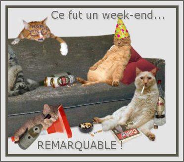 Image h�berg�e par Casimages.com : votre h�bergeur d images simple et gratuit