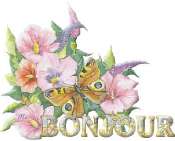 Bonjour