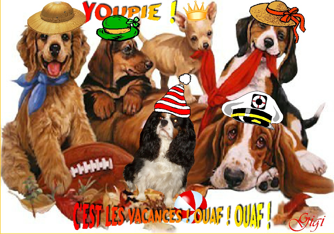 Image h�berg�e par Casimages.com : votre h�bergeur d images simple et gratuit