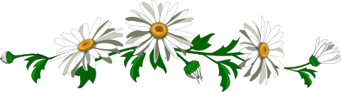 Image hébergée par Casimages.com : votre hébergeur d images simple et gratuit