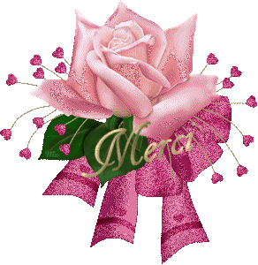 Image hébergée par Casimages.com : votre hébergeur d images simple et gratuit