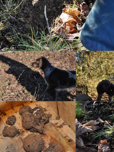 Image hébergée par Casimages.com : votre hébergeur d images simple et gratuit