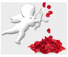 Image hébergée par Casimages.com : votre hébergeur d images simple et gratuit