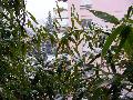 DSCN0779