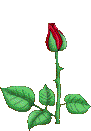 Image h�berg�e par Casimages.com : votre h�bergeur d images simple et gratuit
