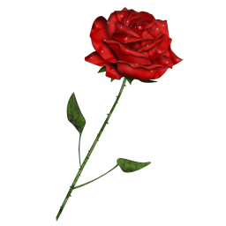 Image h�berg�e par Casimages.com : votre h�bergeur d images simple et gratuit