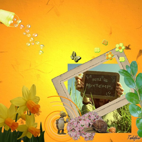 http://nsm02.casimages.com/img/2010/02/12//100212092122753545428054.jpg