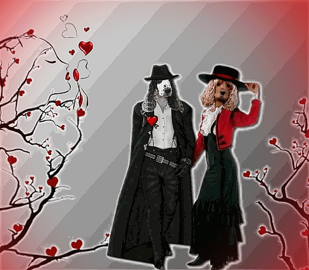 Image h�berg�e par Casimages.com : votre h�bergeur d images simple et gratuit