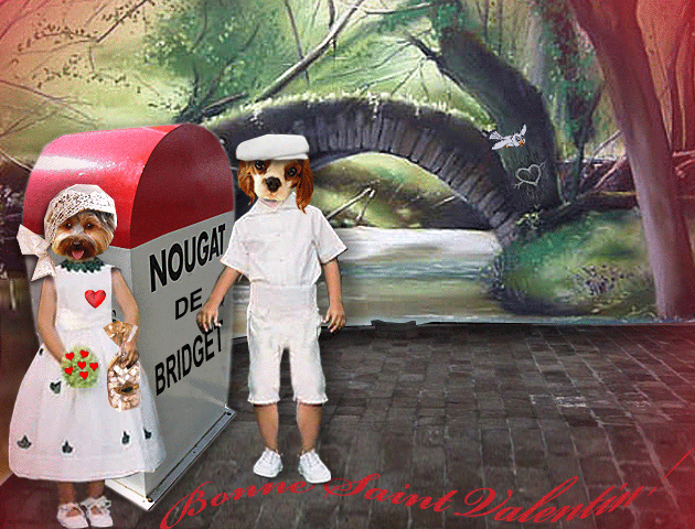 Image h�berg�e par Casimages.com : votre h�bergeur d images simple et gratuit