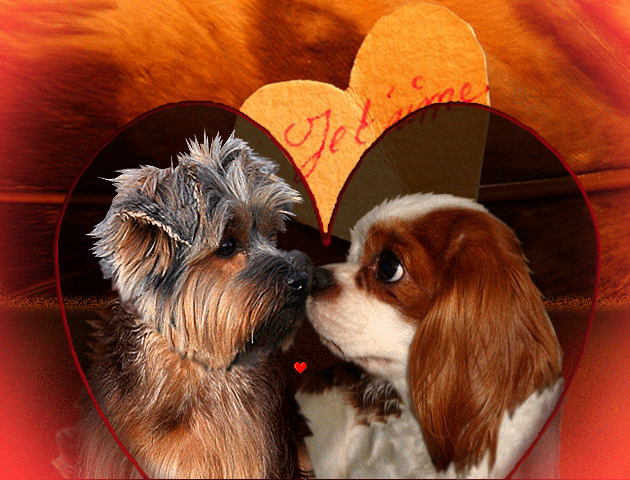 Image h�berg�e par Casimages.com : votre h�bergeur d images simple et gratuit