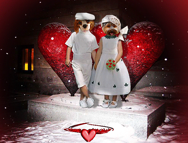 Image h�berg�e par Casimages.com : votre h�bergeur d images simple et gratuit