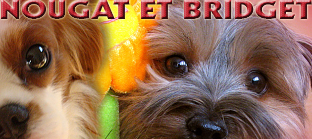 Image h�berg�e par Casimages.com : votre h�bergeur d images simple et gratuit