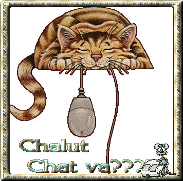 http://nsm02.casimages.com/img/2010/02/15//100215112811486755449608.gif