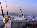 DSCN0604