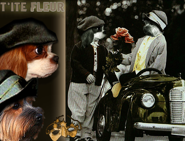 Image h�berg�e par Casimages.com : votre h�bergeur d images simple et gratuit
