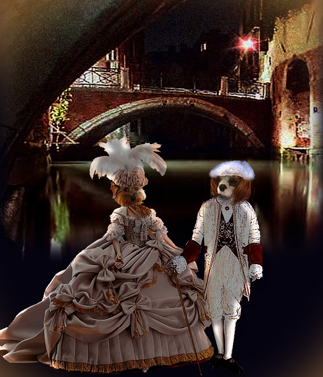 Image h�berg�e par Casimages.com : votre h�bergeur d images simple et gratuit