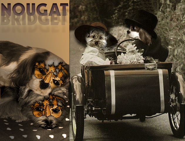 Image h�berg�e par Casimages.com : votre h�bergeur d images simple et gratuit