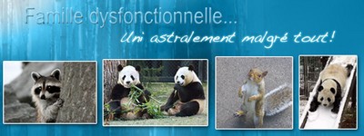 Création Ouf