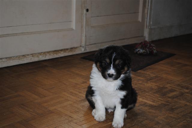 Image h�berg�e par Casimages.com : votre h�bergeur d images simple et gratuit