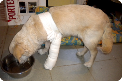 Image h�berg�e par Casimages.com : votre h�bergeur d images simple et gratuit