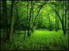 http://nsm02.casimages.com/img/2010/02/17//100217104933712245464296.png