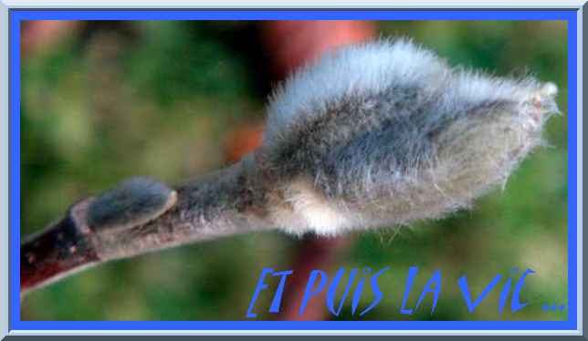 Image hébergée par Casimages.com : votre hébergeur d images simple et gratuit