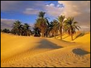 http://nsm02.casimages.com/img/2010/02/17//100217110132712245464382.png