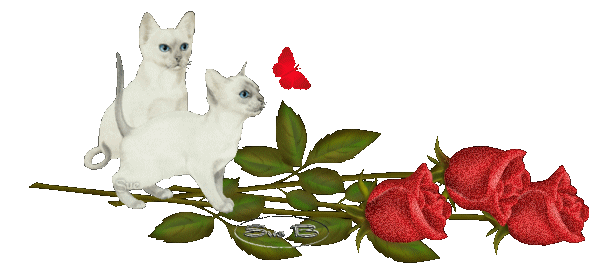 Image h�berg�e par Casimages.com : votre h�bergeur d images simple et gratuit