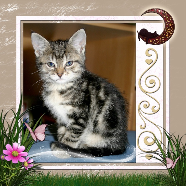 http://nsm02.casimages.com/img/2010/02/19//100219085859753545473006.jpg