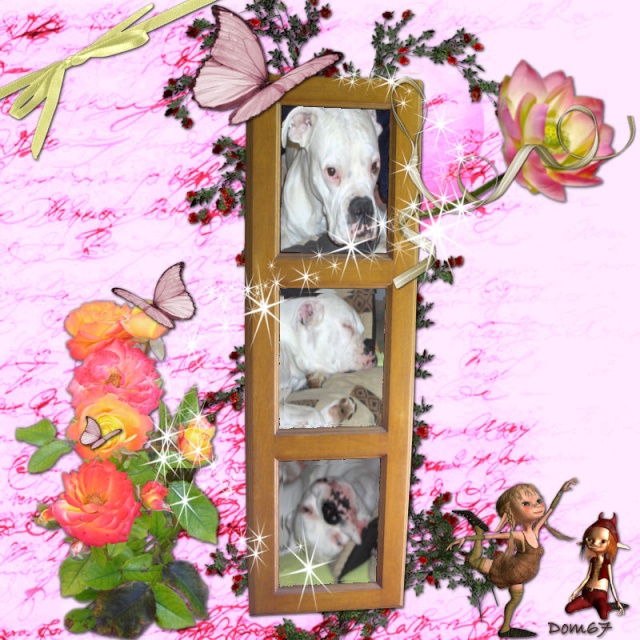 http://nsm02.casimages.com/img/2010/02/19//100219085859753545473007.jpg