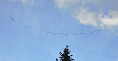 Image hébergée par Casimages.com : votre hébergeur d images simple et gratuit