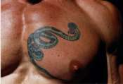 Serpent_Jcta