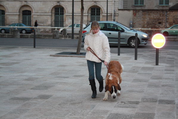 Image h�berg�e par Casimages.com : votre h�bergeur d images simple et gratuit