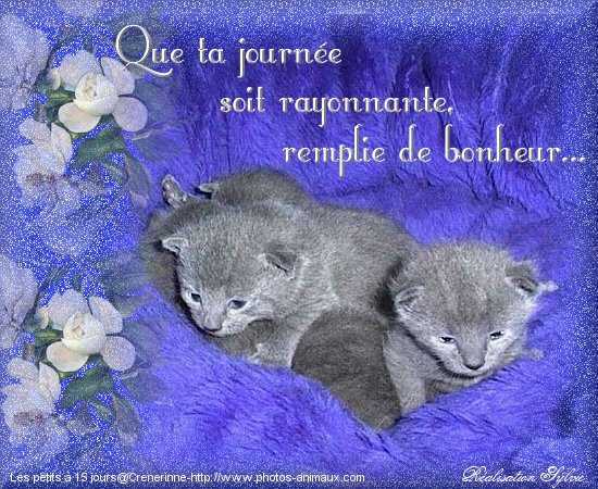 Image h�berg�e par Casimages.com : votre h�bergeur d images simple et gratuit