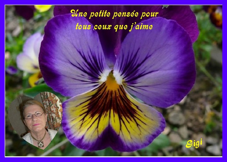 Image h�berg�e par Casimages.com : votre h�bergeur d images simple et gratuit