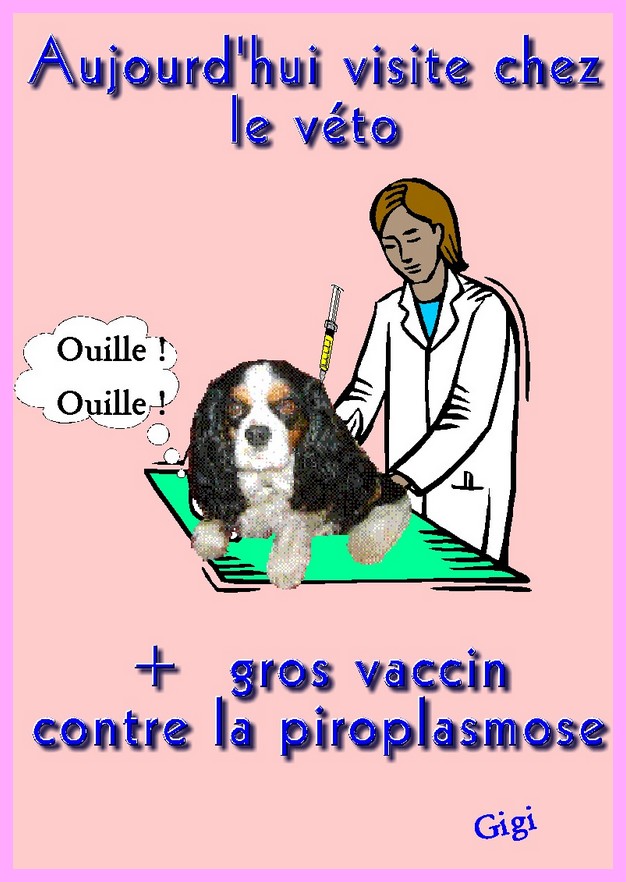 Image h�berg�e par Casimages.com : votre h�bergeur d images simple et gratuit