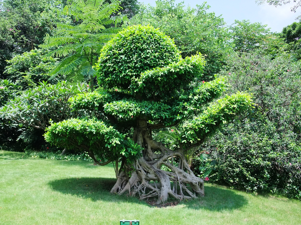 DSCF0641