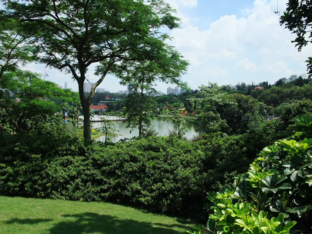 DSCF0713