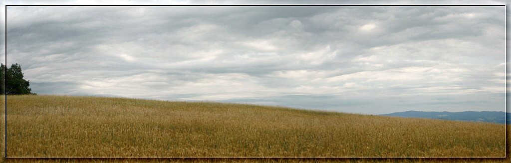 140709plateau de Lorlanges4