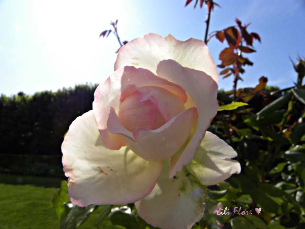 Image hébergée par Casimages.com : votre hébergeur d images simple et gratuit